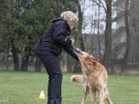 Bendix Obedience Workshop beim VdH Mauer 2016 (47)